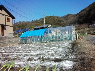プチ便り(土つくり)_a0206870_16272382.jpg