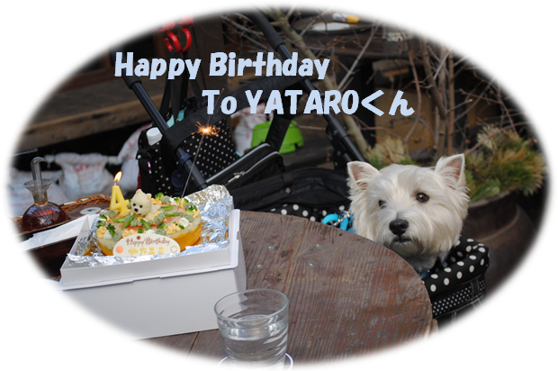 b0242873_01273855.png