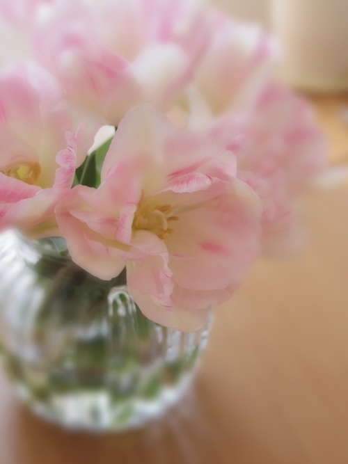 b0284276_11351721.jpg