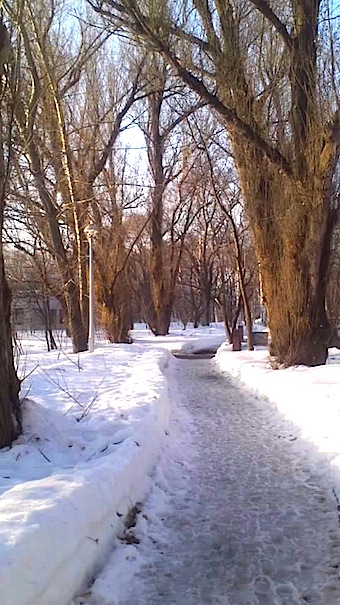 b0321680_22271906.jpg