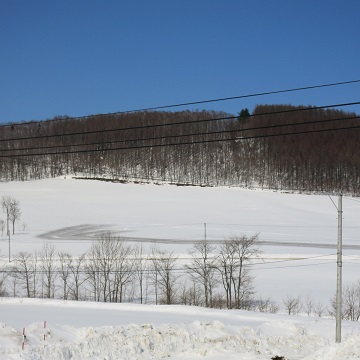 a0156782_16033055.jpg