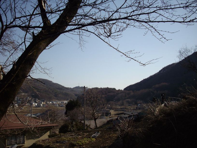 東の横綱 西の大関_b0329588_18144255.jpg
