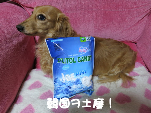 日々急成長している！_b0200291_21335551.jpg