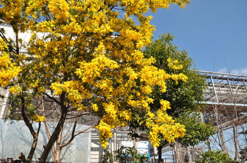 d0021491_23475979.jpg