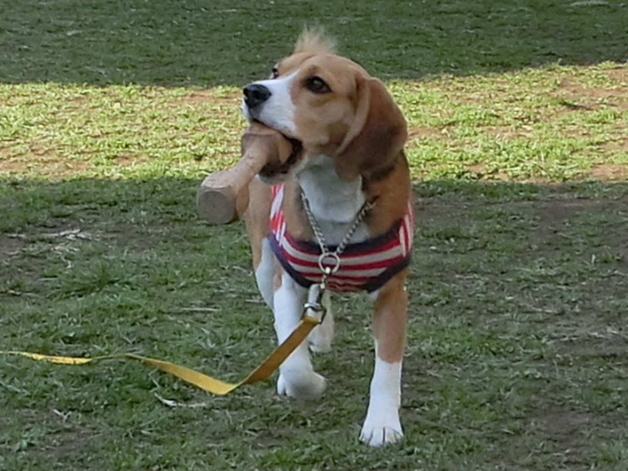 a0319693_2001187.jpg