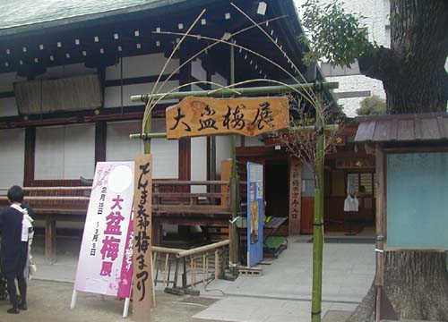 ●『大阪天満宮 盆梅と名宝展』その1_d0053294_265021.jpg