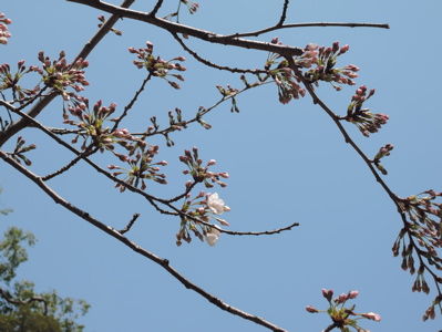 工藝風向さんへ_f0232994_039587.jpg