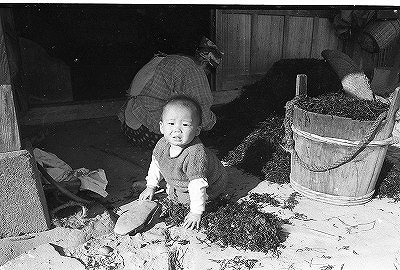 「ふるさとの島、ふるさとの山河」展開催中！ ツバメは３月２２日に確認!!_b0076096_14421942.jpg