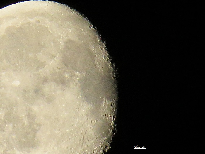 f0053297_7342815.jpg
