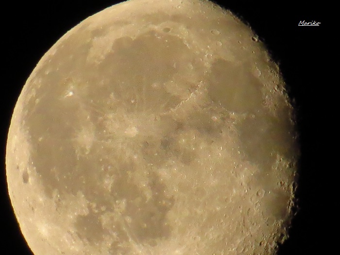 f0053297_7381857.jpg