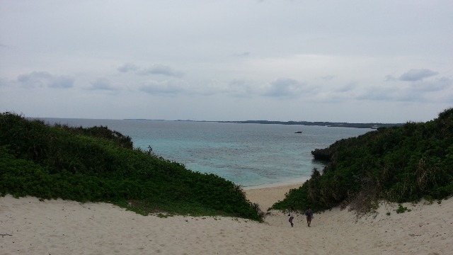 b0138798_16205942.jpg