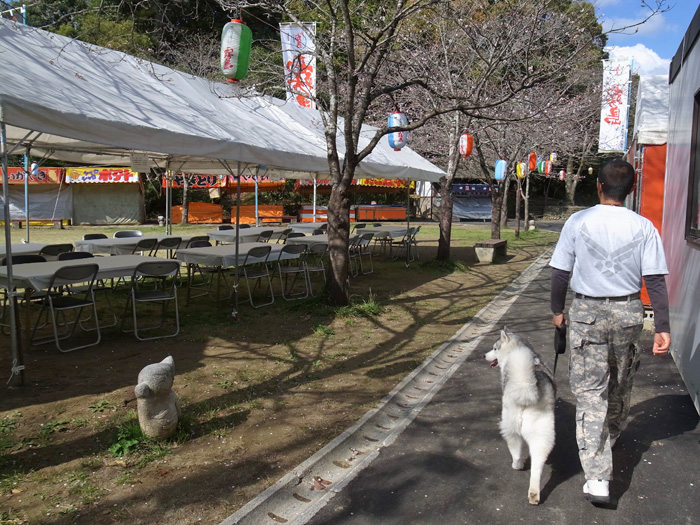 桜るんるん♪_c0049299_0155672.jpg