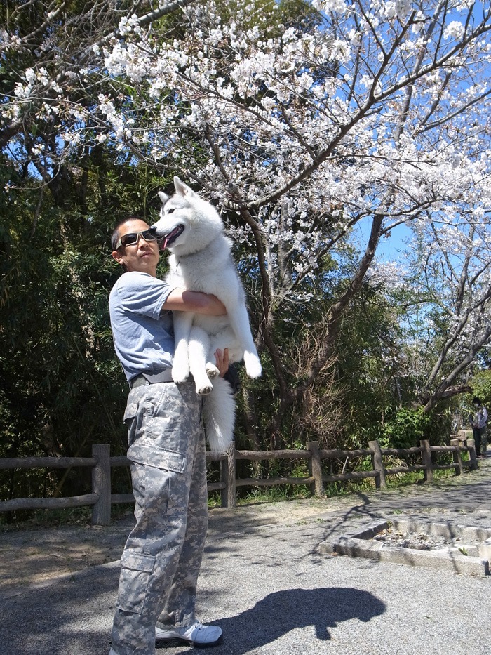 静かなる桜まつり♪_c0049299_2258876.jpg