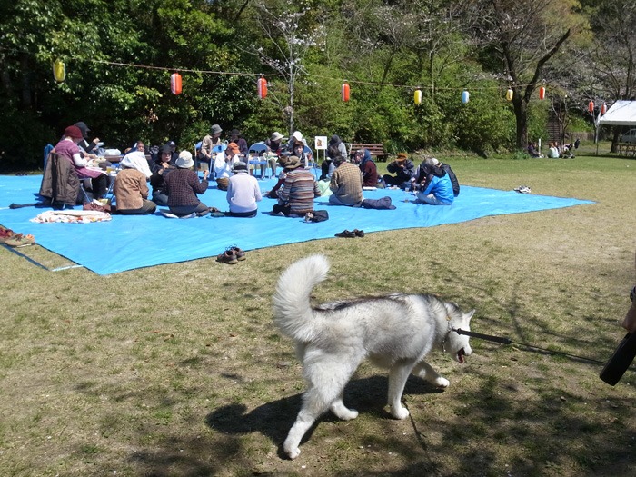 c0049299_2351889.jpg