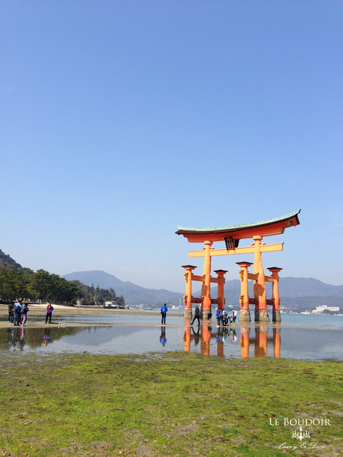 安芸の宮島　清盛まつり_d0321300_19452382.jpg