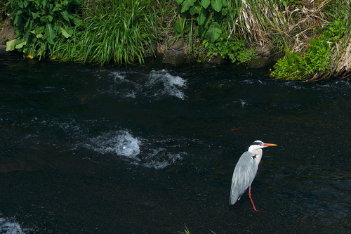 e0304001_22182878.jpg