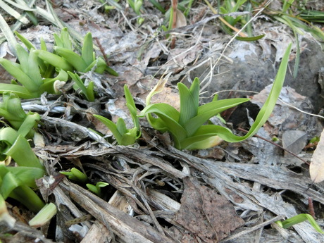 a0203003_17282741.jpg