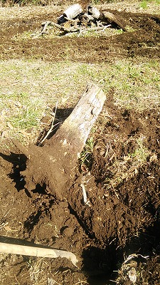 e0270403_13402067.jpg