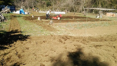 e0270403_1342128.jpg