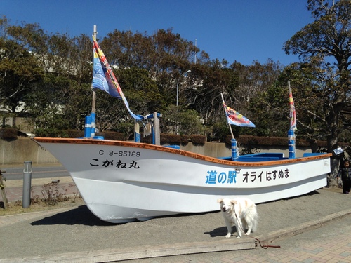 a0032004_0531585.jpg