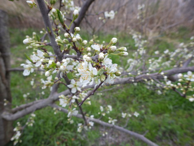 c0280206_19171622.jpg