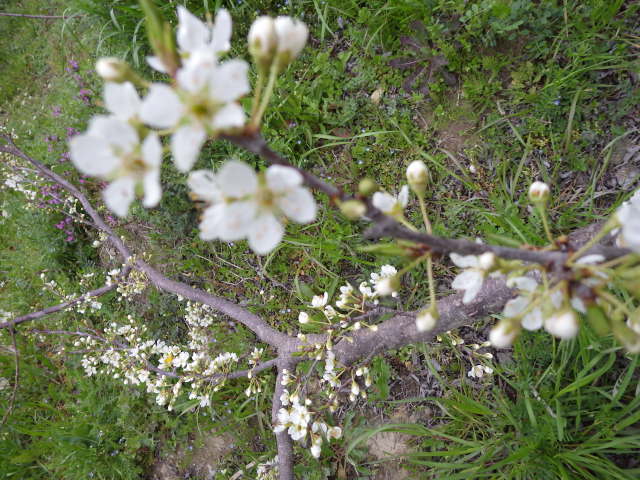 c0280206_1917272.jpg
