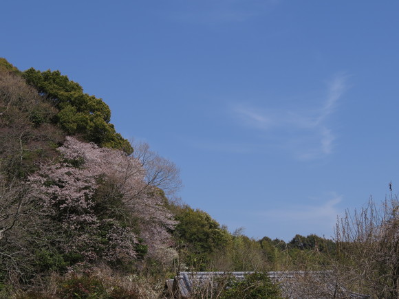 d0237309_21453343.jpg