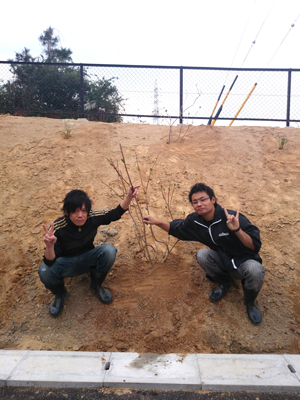 S.P.アジサイを植えました。_a0154110_1441124.jpg