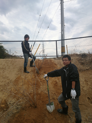 S.P.アジサイを植えました。_a0154110_1441867.jpg