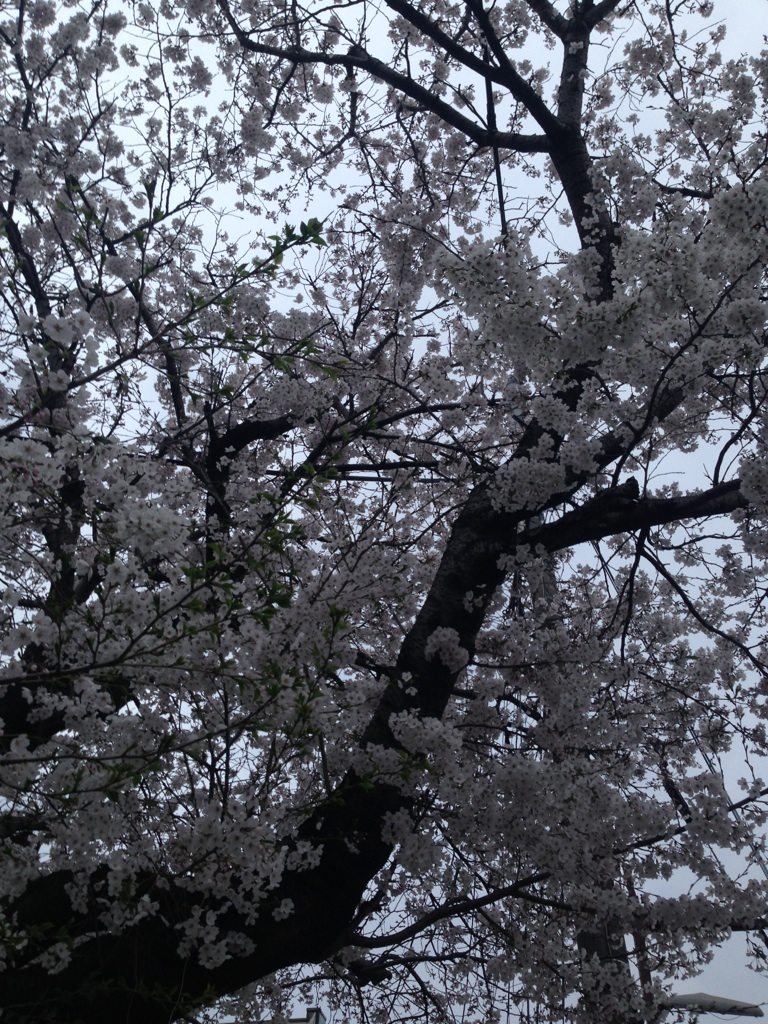 c0188610_21165178.jpg