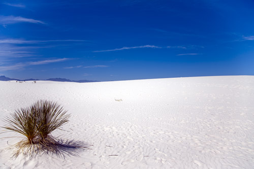 c0148812_1435422.jpg
