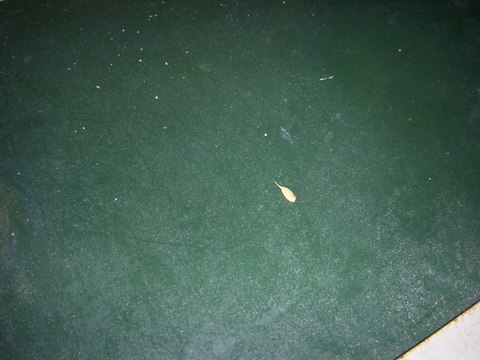 f0260120_16531788.jpg