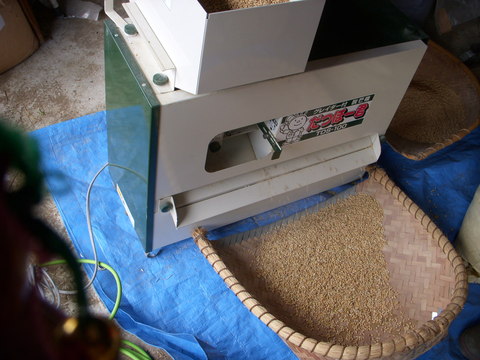 f0260120_16584527.jpg