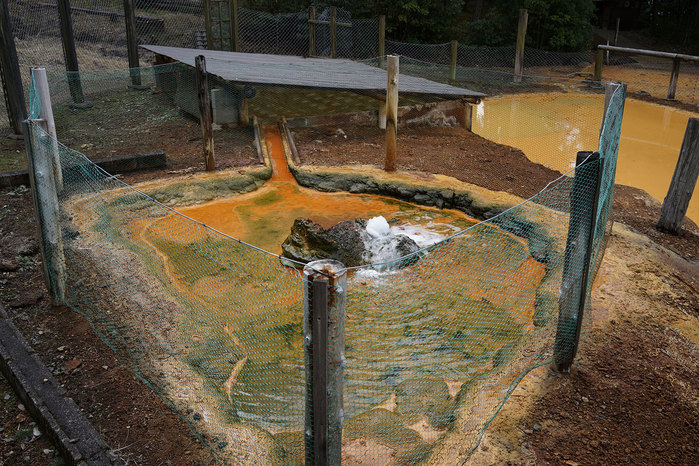 c0064025_14324410.jpg