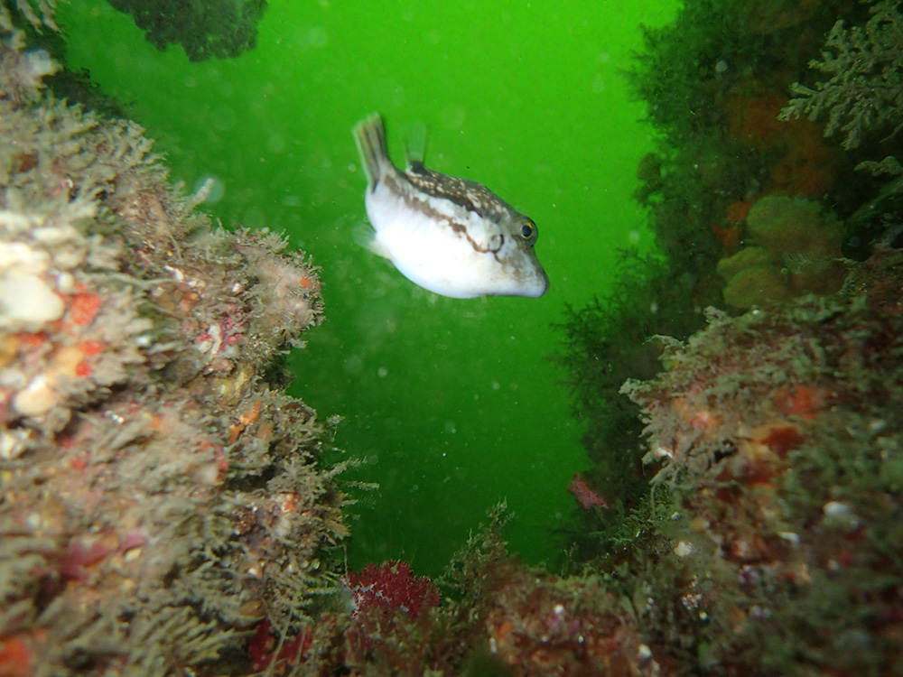 f0229926_8442947.jpg