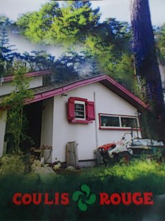 e0029132_22475630.jpg