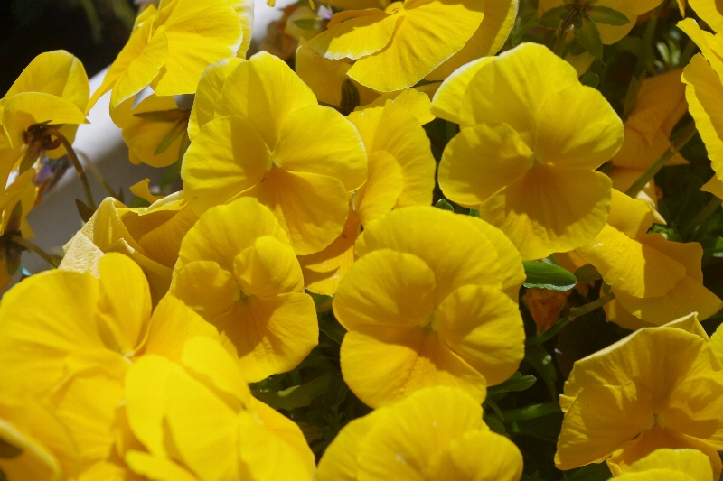 c0113733_0411793.jpg