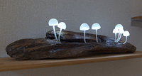f0108133_095262.jpg