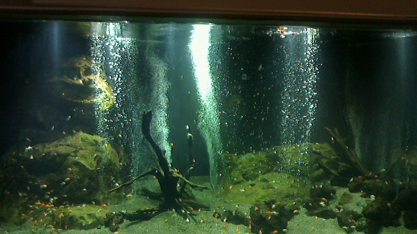 f0161535_2285833.jpg