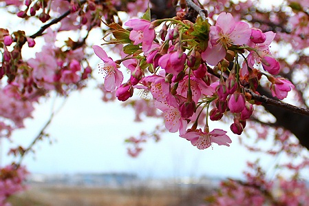 a0243143_19302319.jpg