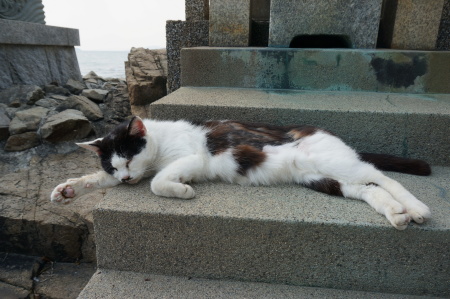 c0314344_00253759.jpg