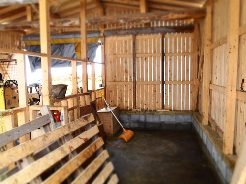 小屋掃除_a0281547_19264883.jpg