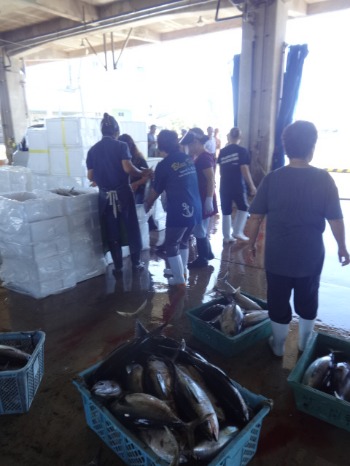 13石垣島 ７ 魚市場 長一楼 金城 よしみ鮮魚店 もずく天ぷら屋さん ツレヅレハナコ Blog Ver