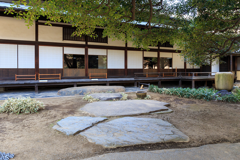 旧岩崎邸庭園_f0155048_23245040.jpg