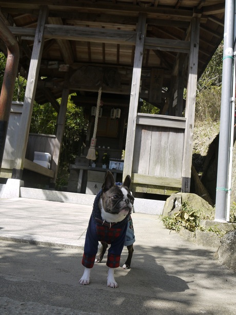 黒田官兵衛ゆかりの地 妻鹿 めが 城址へ Always あぐり 黒田官兵衛ゆかりの地 妻鹿 めが 城址へ Always あぐり
