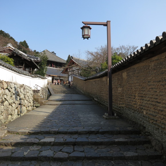 b0250353_20533425.jpg