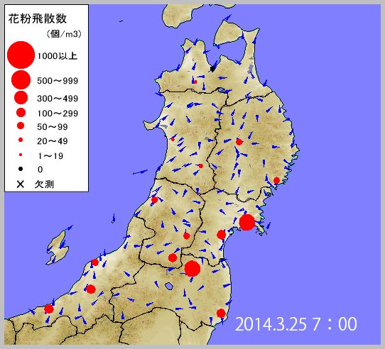 花粉は、今日から要注意!_e0084756_839070.jpg