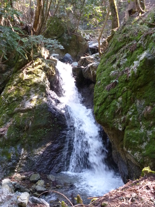 関西百名山　三十三間山_d0231858_122647.jpg