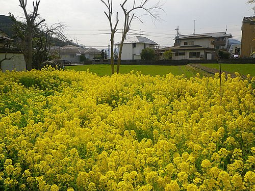 f0156359_212320.jpg