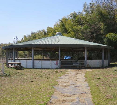 f0031961_21345665.jpg